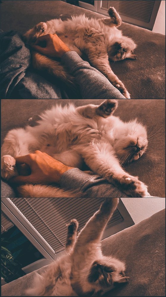 💖