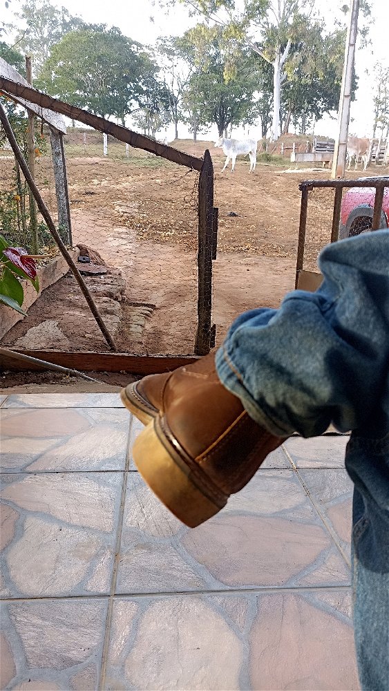 Agro