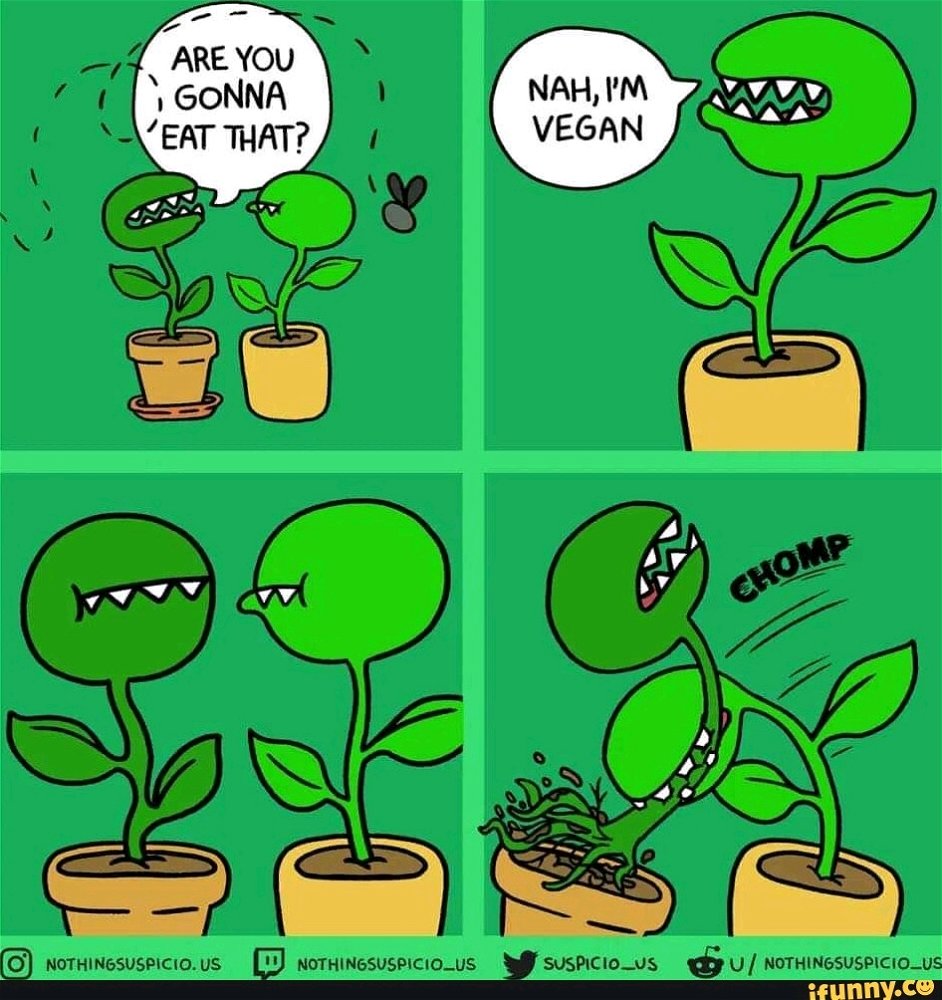 Vegan Vegetable