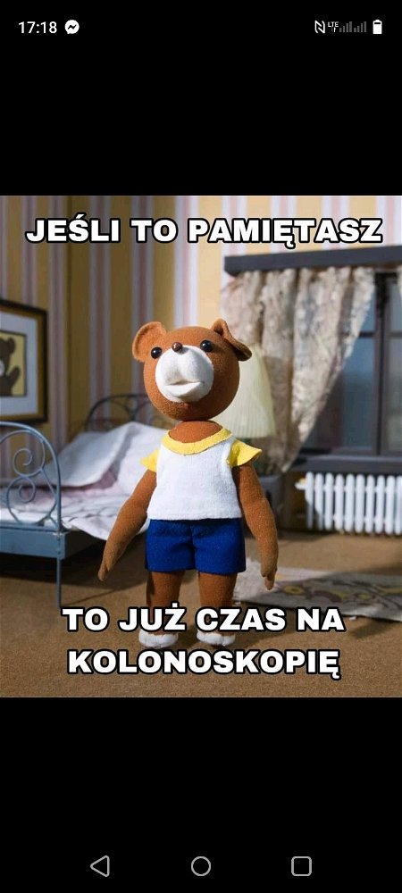 Miś Uszatek
