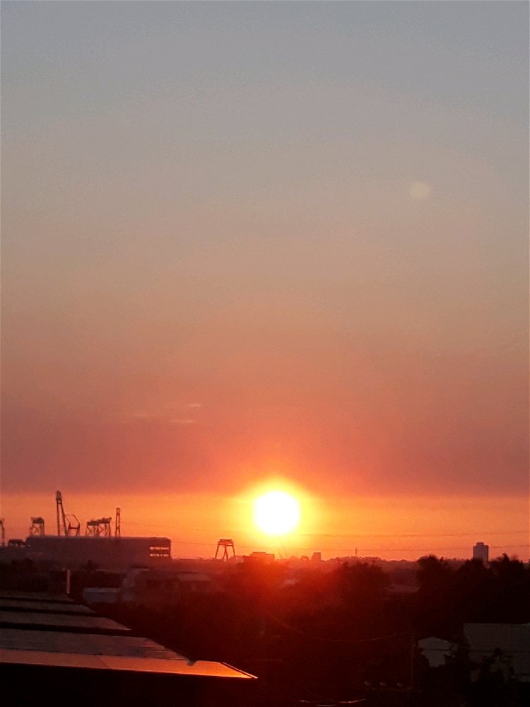 🌅