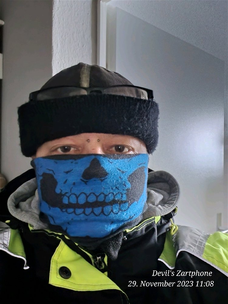 Auf zur großen Hunderunde