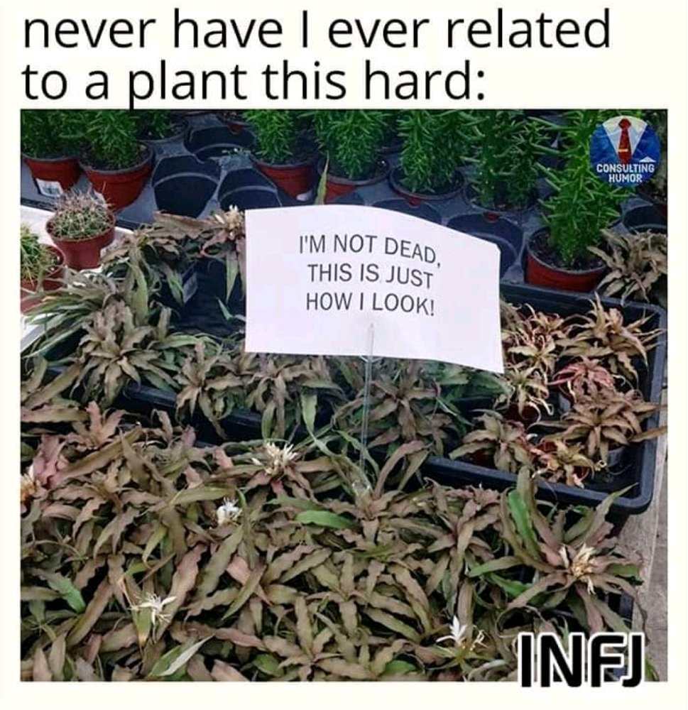 ✨️💀
