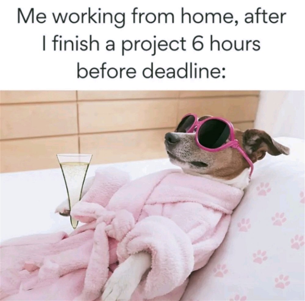😅✨