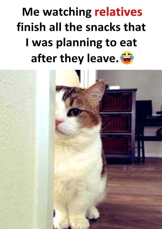 😂