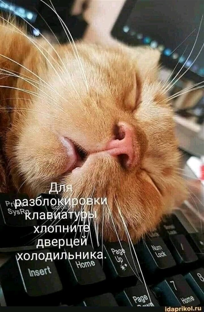 Всем добрый вечер!