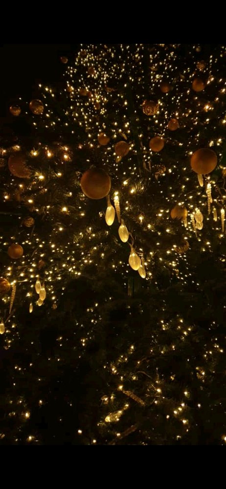🎄