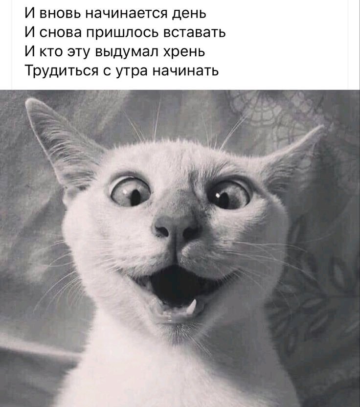 Утречка всем☀️