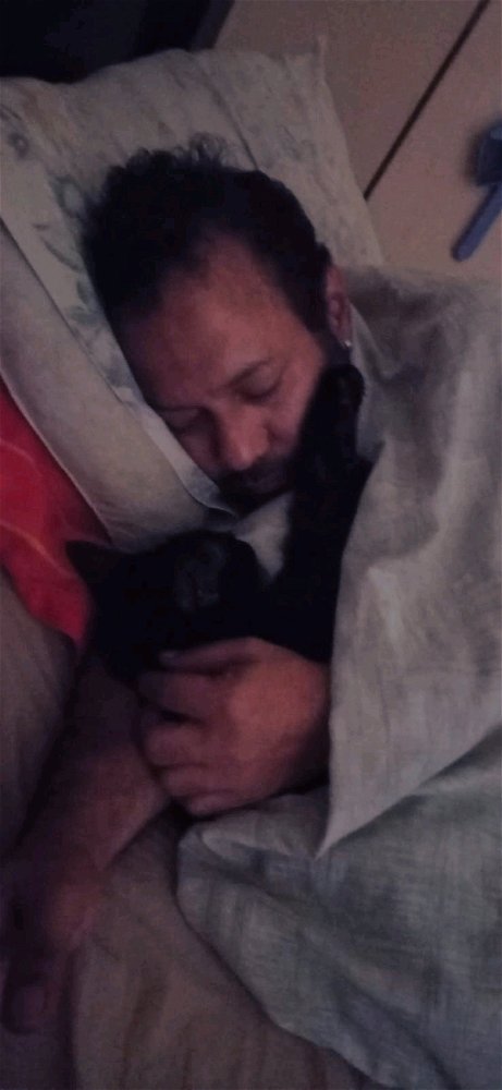 Solo unos pocos entenderán, cuando un Gato te ama asi