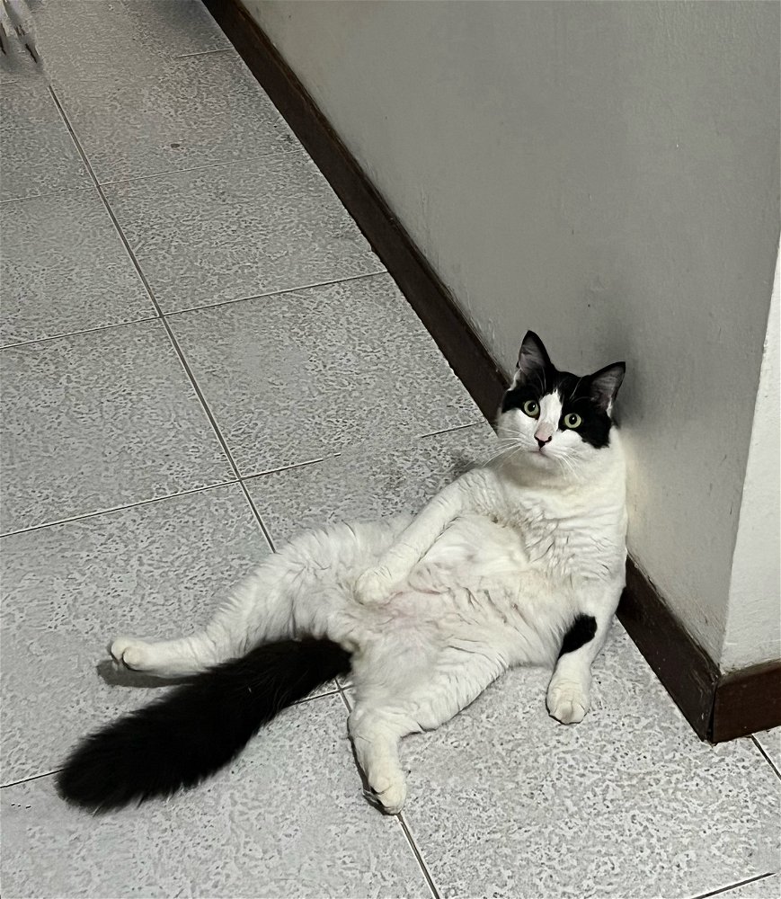 Lunes