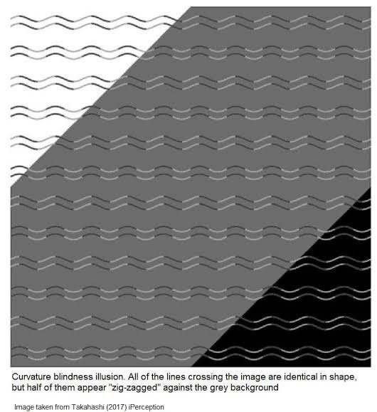 Optical illusions are some of the craziest science IMO