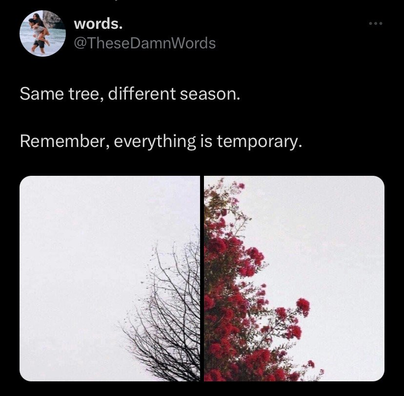 Enjoy until it last 🙂
