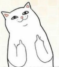 Cat 3am be like