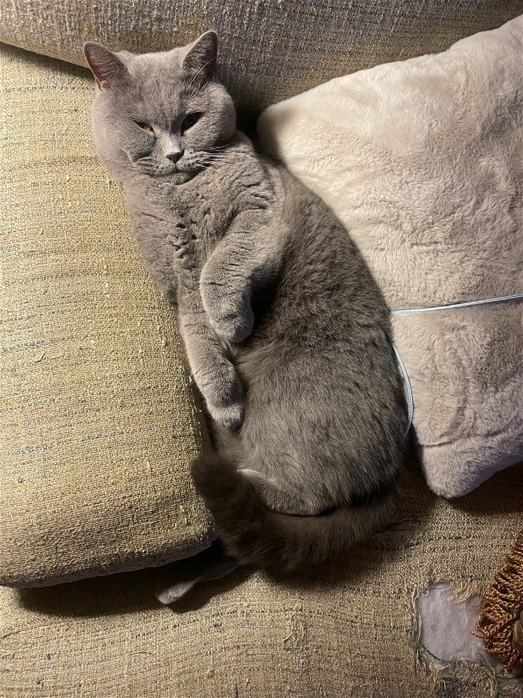 Trying to find the right sleeping angle