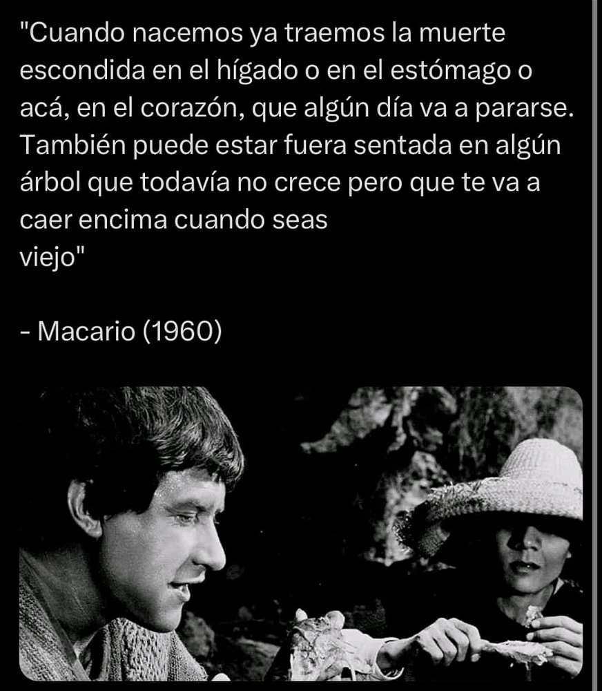 Carpe diem