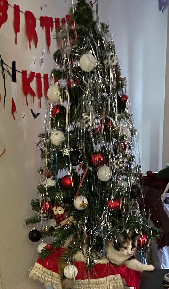 Kitty tree
