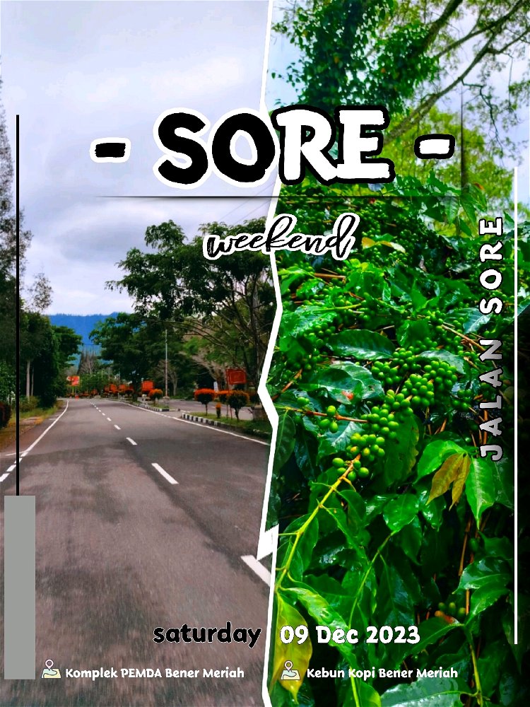 Dataran Tinggi Gayo