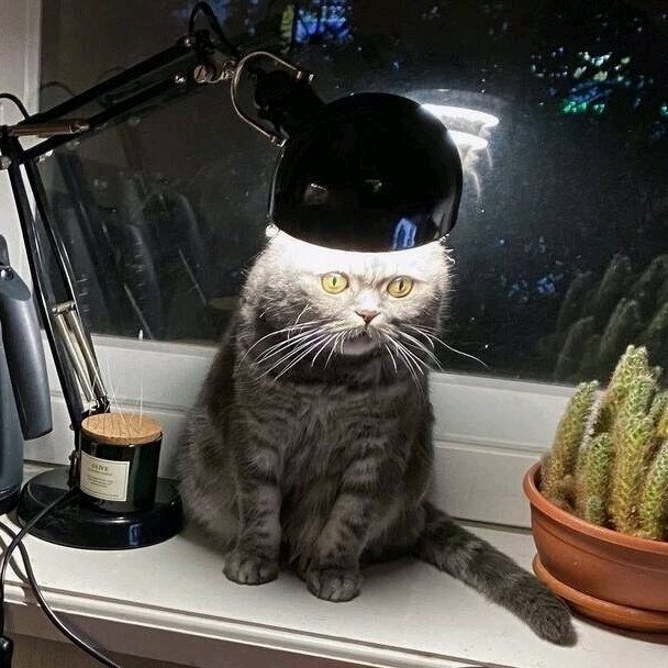 Доброе морозное!