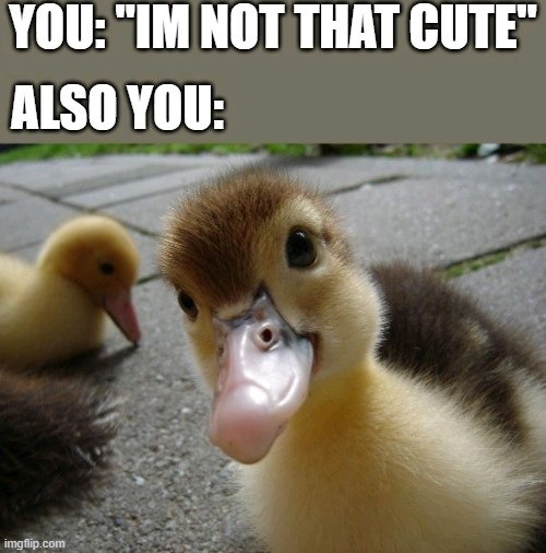 Cute people be like:
