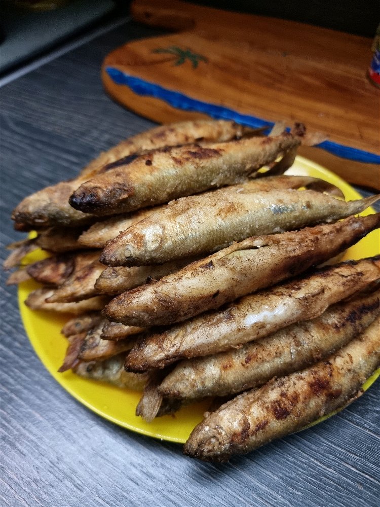 Малоротка