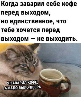 Бодрое утро😑