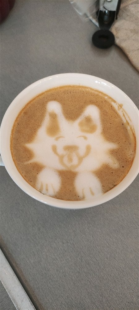 Dog