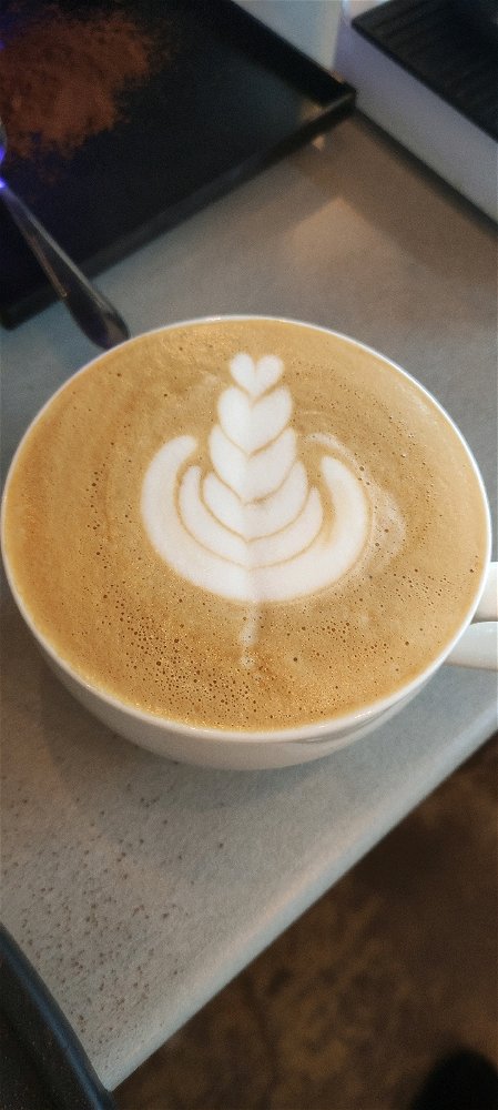 Tulip
