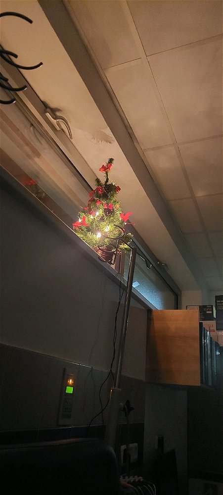 Ahoj. Tak jsem se projela nocí do Brna a nejela jsem sama, ale jela jsem záchrankou, mám malý výlet, no🤷‍♀️