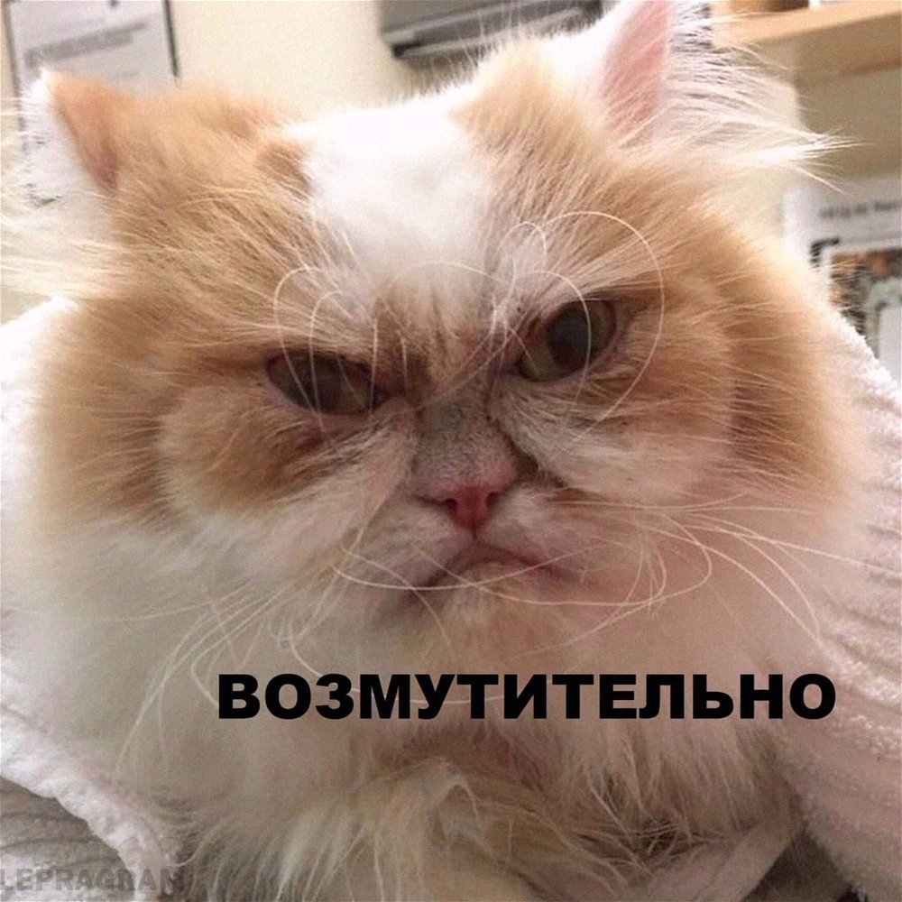 Утро пятницы: наступило