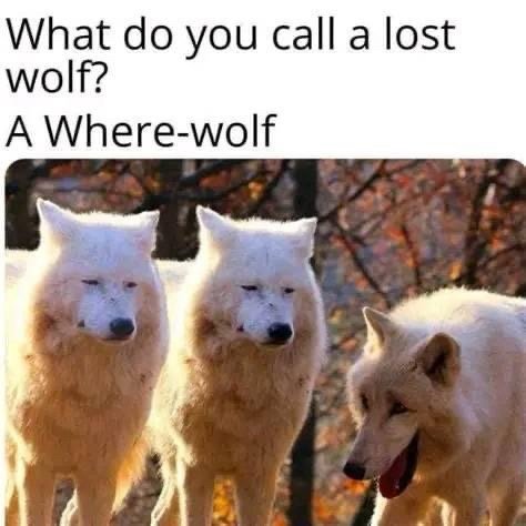 🥲