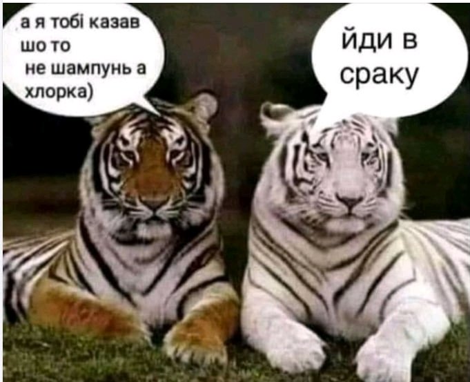 Про довіру )