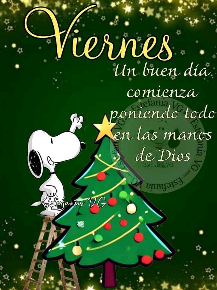 Lindo dia
