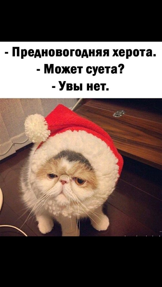 Что-то на новогоднем)