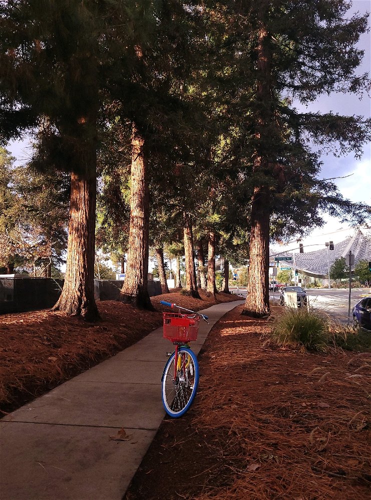 Google bike at the Googleplex, Mountain View, CA