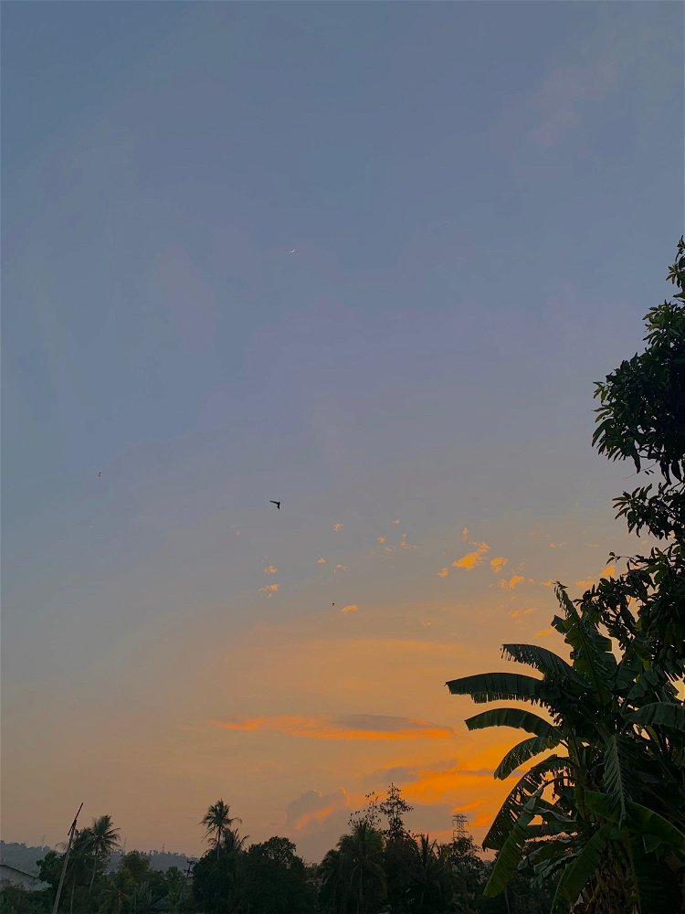 ✨🌤️🕊️