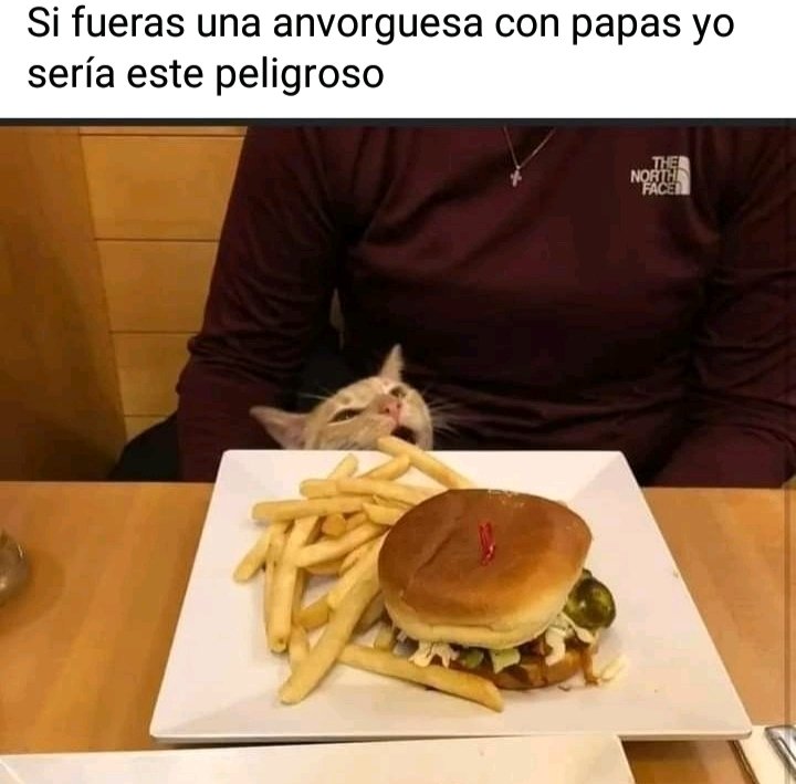 Me dicen la peligrosa 😎
