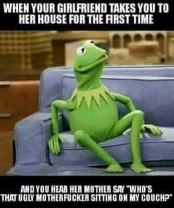 🐸🤣