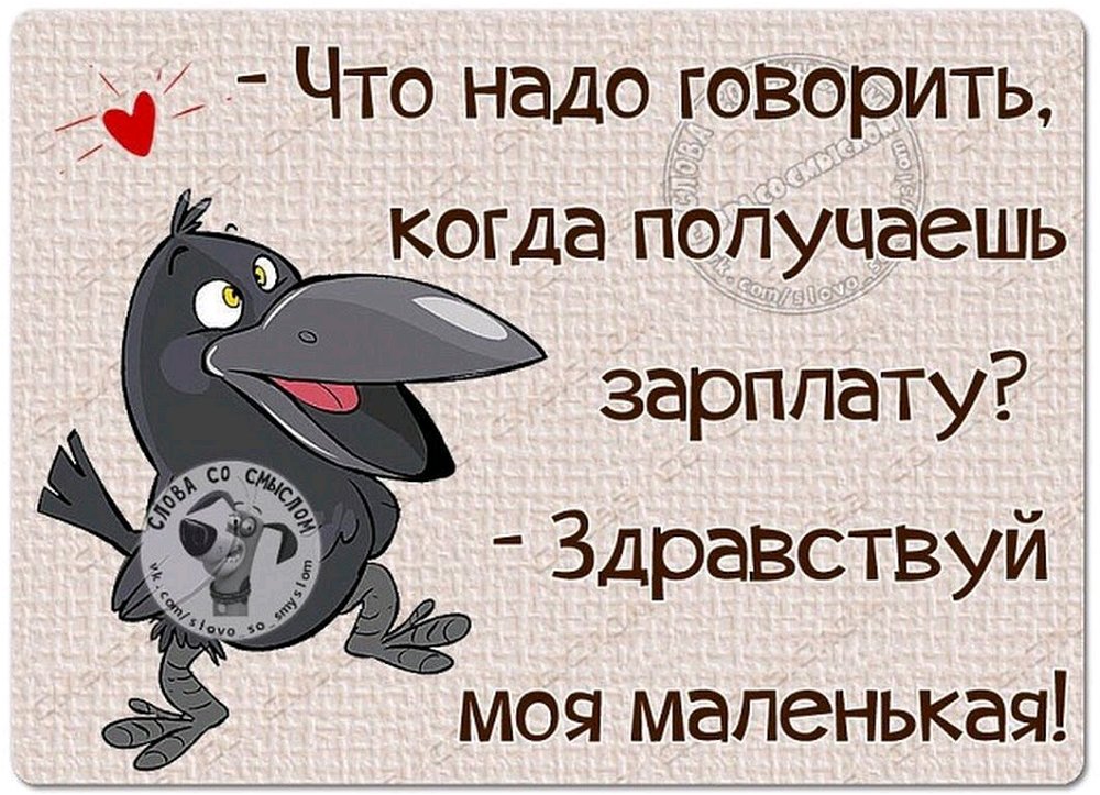 Зарплатушка!