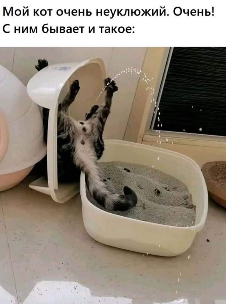 😂