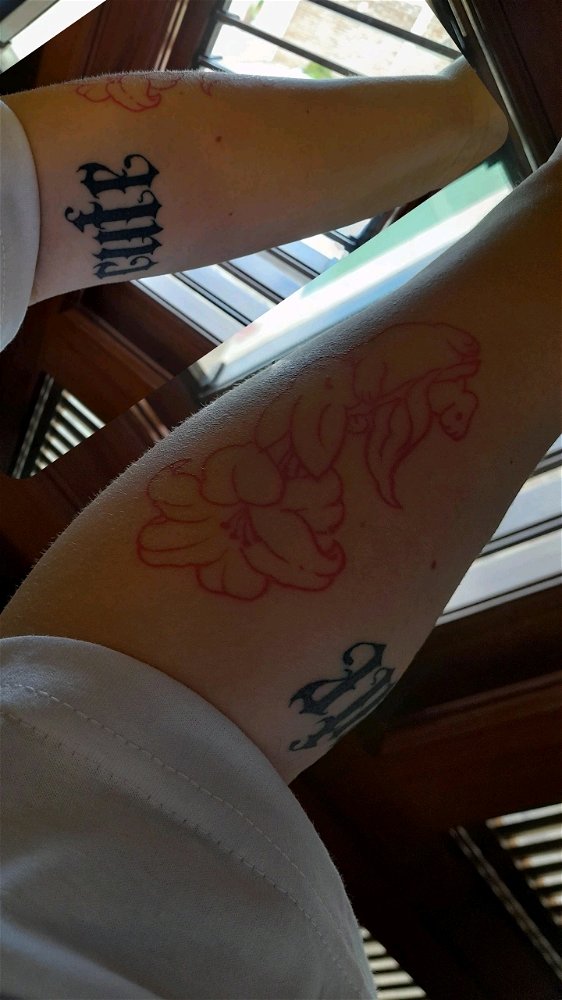 Hoy mis tatuajes me tienen así 🥰🐇