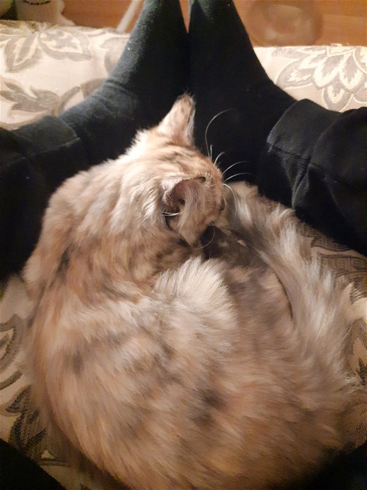 👀Котя☺️