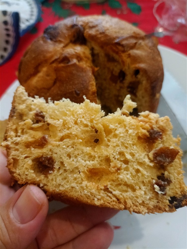 Quem não gosta de panetone, bom sujeito não é! 😋
