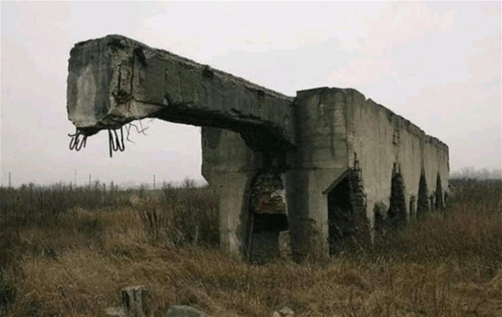Betonosaurus