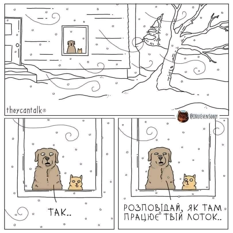 Як там працює твій лоток? 😁