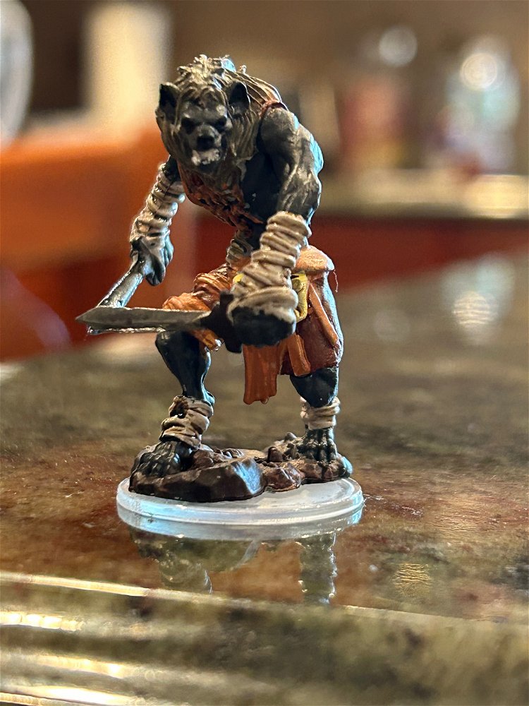 Gnoll Fleshnawer