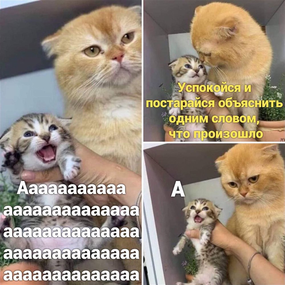 Объяснил же