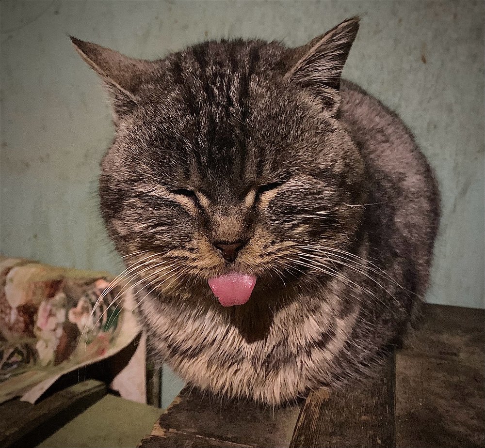 😜