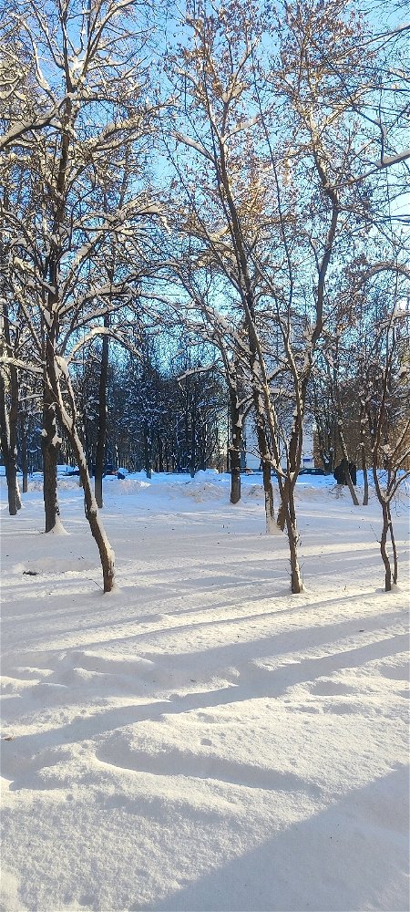 🌨❄☃️