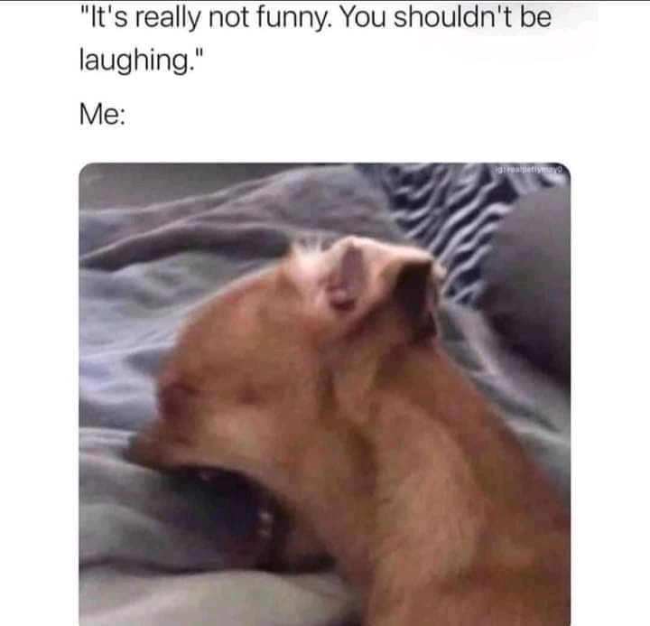 Every serious situations, there's me.