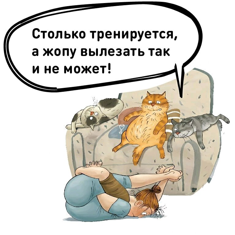 С точки зрения котов...